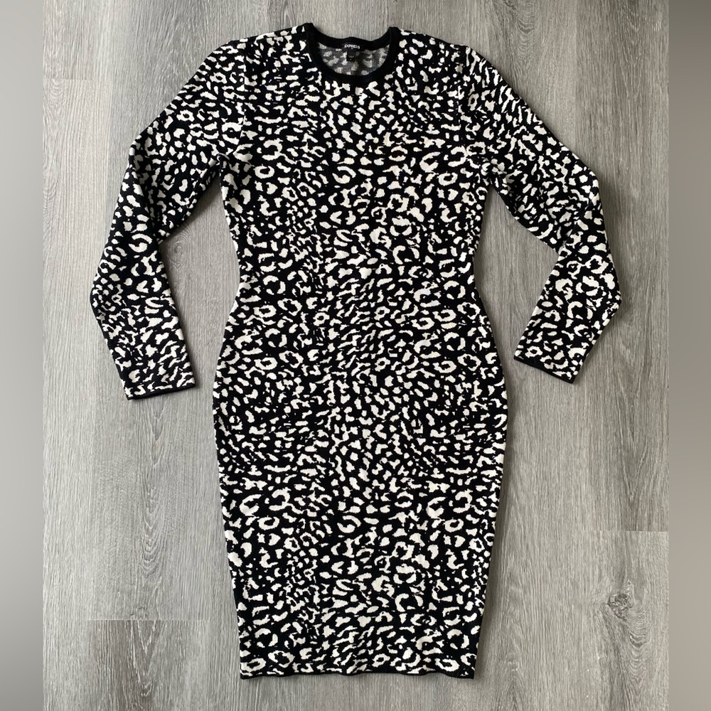 Express Bodycon Knit Dress